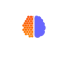 Cryptic Brain Technologies logo