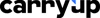 Carryup Innovations Private Limited logo