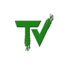 TechVizmo logo