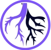 WildRoot Digital logo