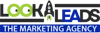 Look for Leads logo