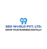 99Seo Solution World Pvt Ltd logo