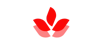blumerise logo