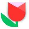 Bluum Digital logo