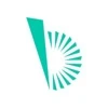 Bravium Consulting Inc. logo