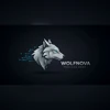 WOLFNOVA logo