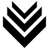 Rank Digital logo