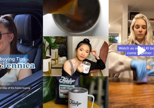 TikTok/Reels Videeos