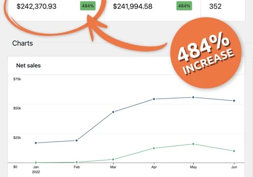 Business Triumph: 484% Sales Surge in 6 Months