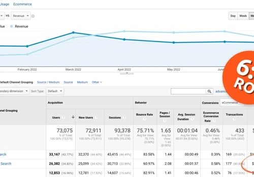 SEO Power: $98,838 Organic Sales Unveiled