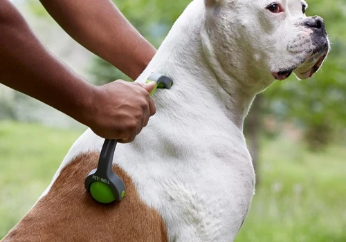 Dog Massager