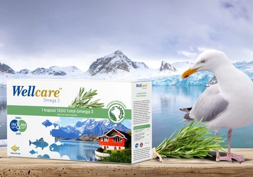 Wellcare Omega 3 Packaging Design