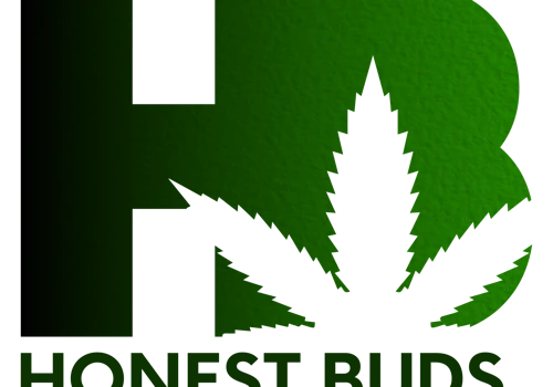 New Brand for New Ideas