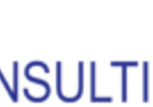 Website development