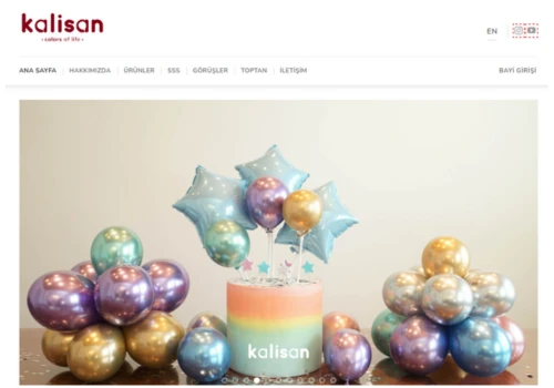 Kalisan - WordPress Web Development Services