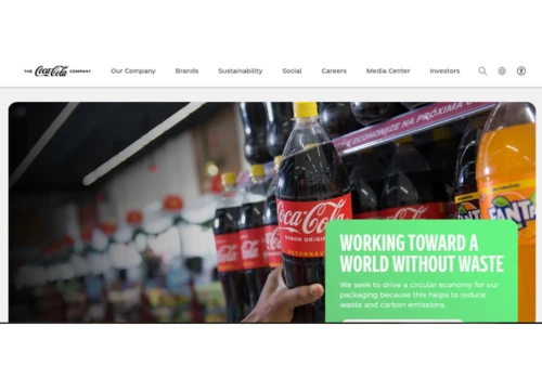 Coca Cola: Bespoke software development