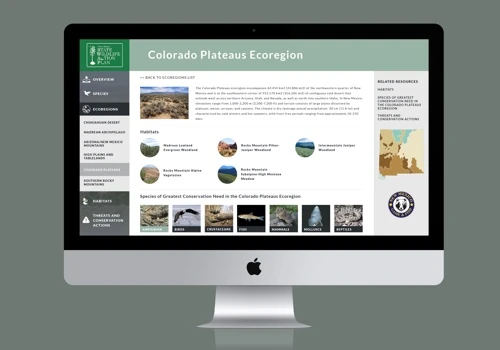 App Development and User Experience Come Together