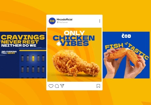 Digital Marketing for Frozen Hub