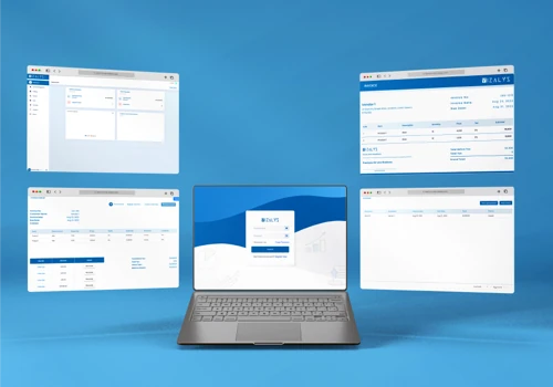 Vizalys ERP development