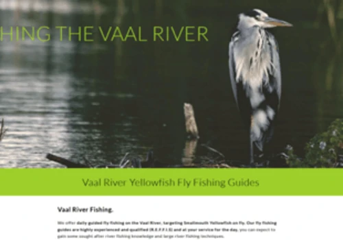 Immersive Angling