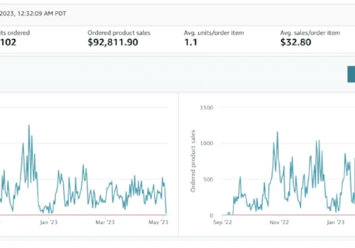 Building a 6-Figure Amazon Store in 12 months!