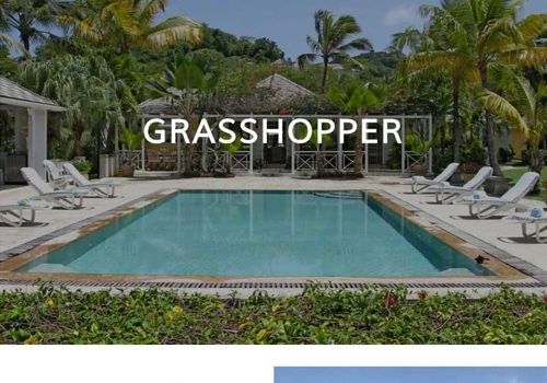 Grasshopper Mustique