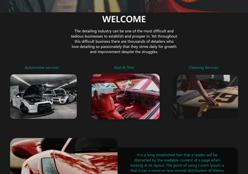 Auto Detailing Website