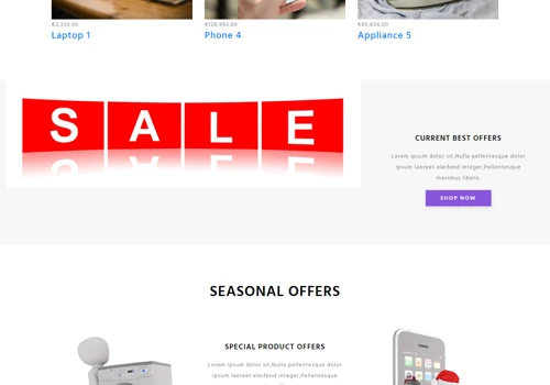 E-commerce Website