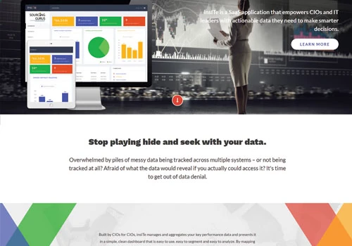 insITe – The ERP for IT