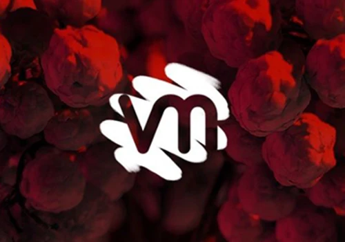 Visual Minds