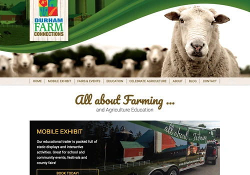 WordPress Web Design