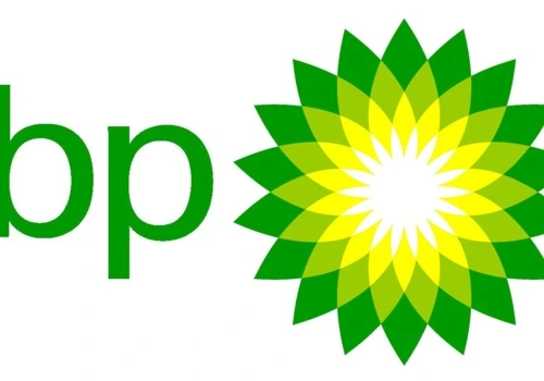 BP Diversity and Inclusion Survey