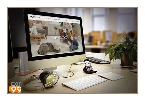 MAZAYA CONSUMER WEBSITE