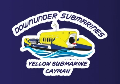 Web Development & SEO Growth for Yellow Submarine
