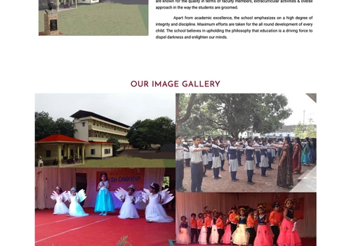 Website designed for School
