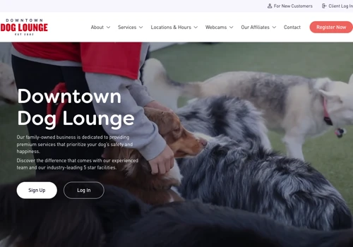 Downtown Dog Lounge Website Design & Development
