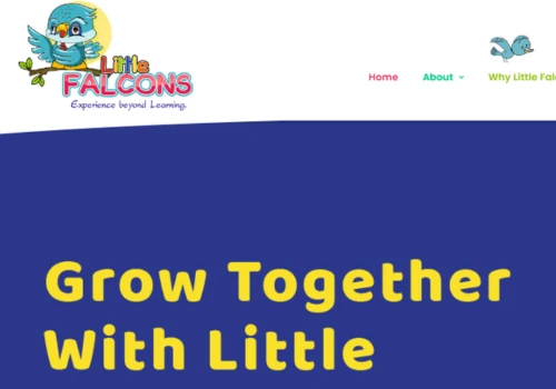 Little Falcons - A Premium Pre - School