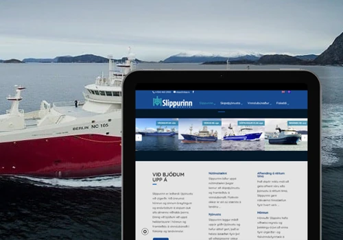 Platform to maintain modern fish processing plant