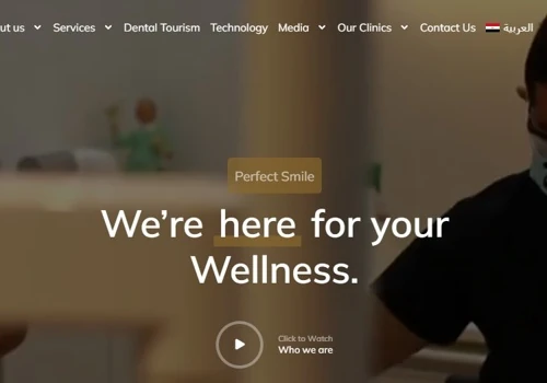 Website Development & SEO Optimization for Perfect