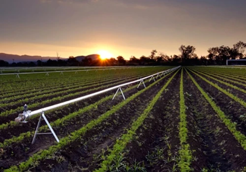 Austrade Agri Business: Digital & Branding Boost