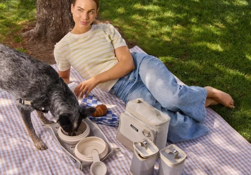 Amazon Brand Launch for Design-Forward Pet Brand