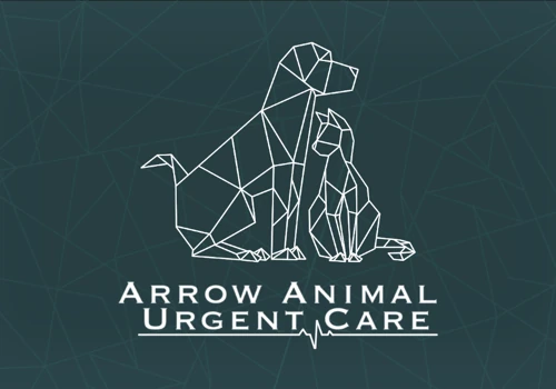 Arrow Animal Urgent Care - Website Redesign