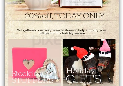 Email / Newsletter Design
