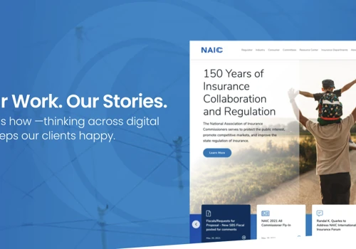 NAIC - Site Redesign & Technical Rebuild