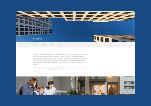 Brusnika - Internal assessment and forecasting tools