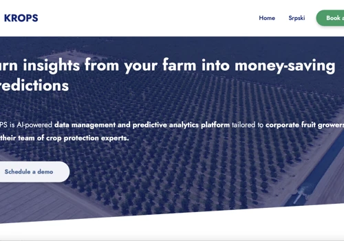 Landing page copy and wireframing