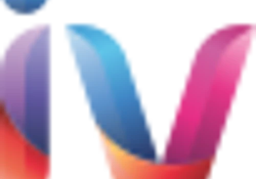 Infovim Technology Consulting