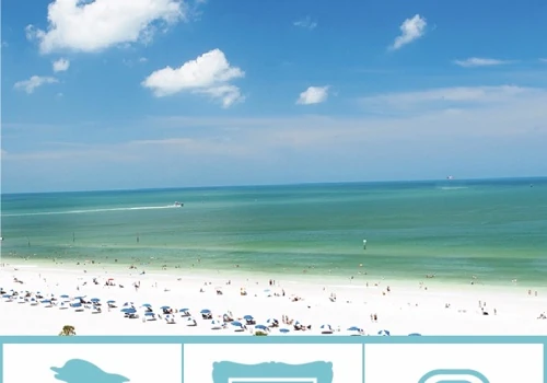 The Clearwater Dolphin Trail