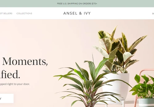 Migration from Magento to Shopify