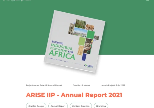 Arise IIP Annual Report